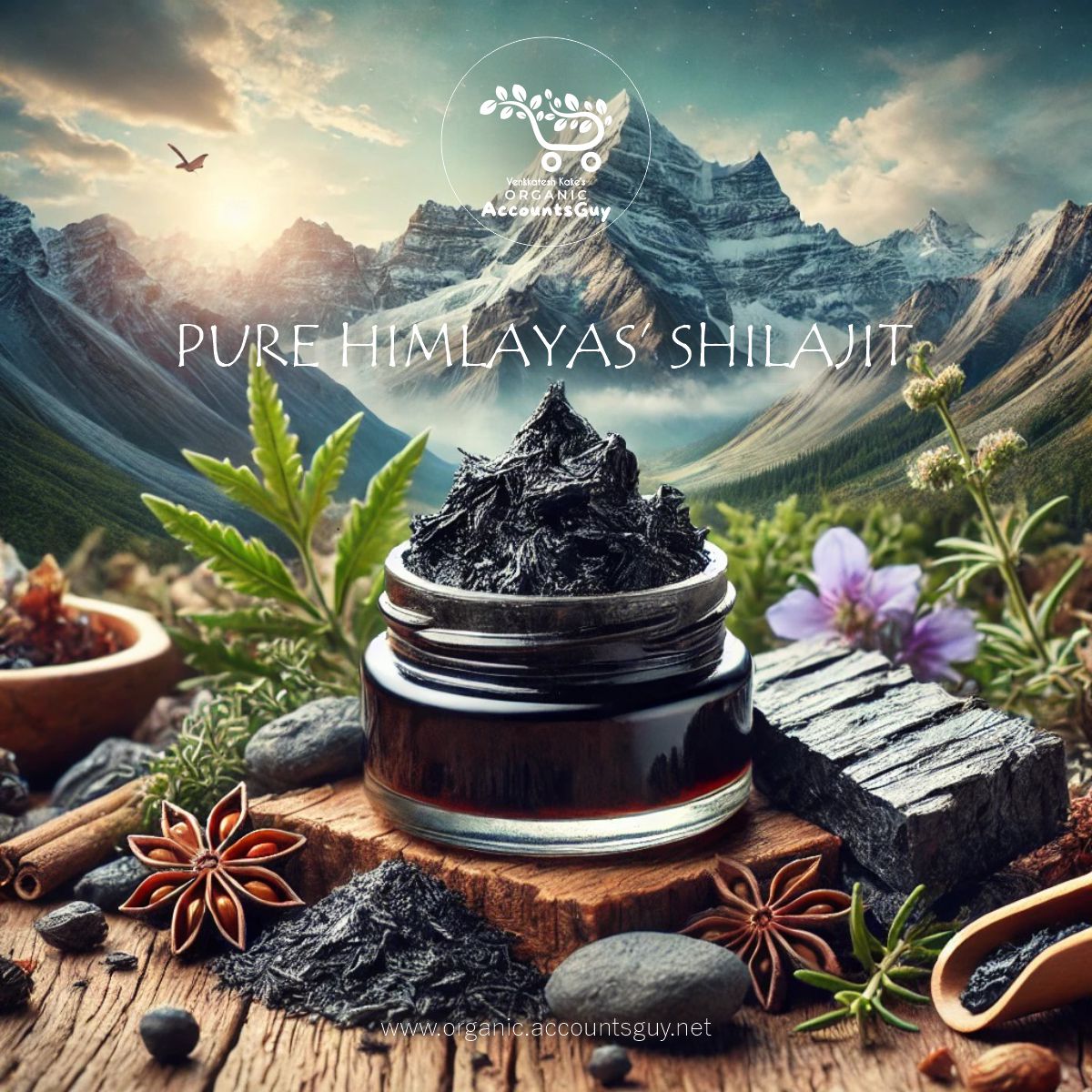 Shilajit Benefits, Usage, Natural Place of Origin