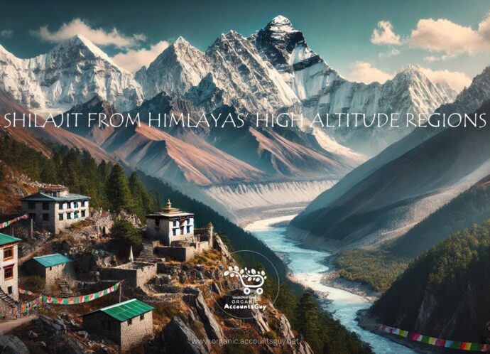 Himalayan Mountains Shilajit